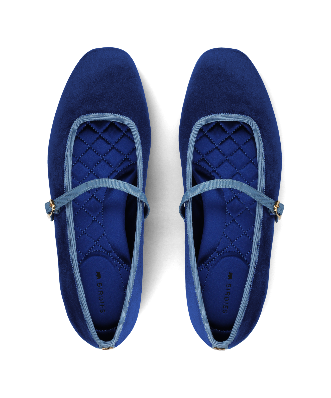HMJ-EBV_WEB2.png